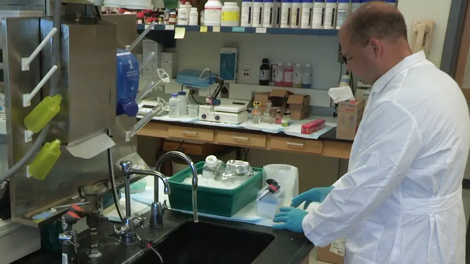Quantification of Coenzyme A in Cells and Tissues
