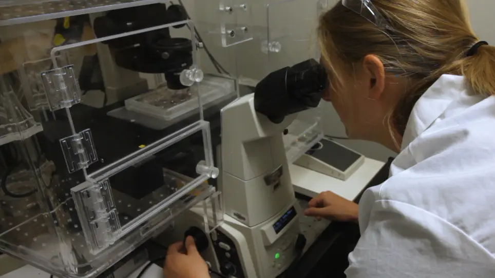 Live Cell Imaging to Assess the Dynamics of Metaphase Timing and Cell Fate Following Mitotic Spindle Perturbations