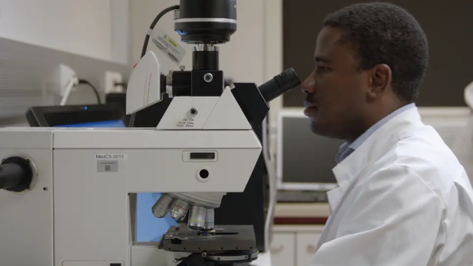 Enrichment of Pachytene Spermatocytes and Spermatids from Mouse Testes Using Standard Laboratory Equipment