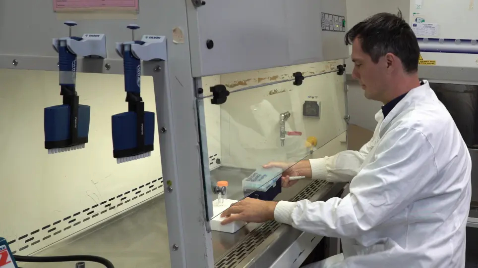 Measuring Microbial Mutation Rates with the Fluctuation Assay
