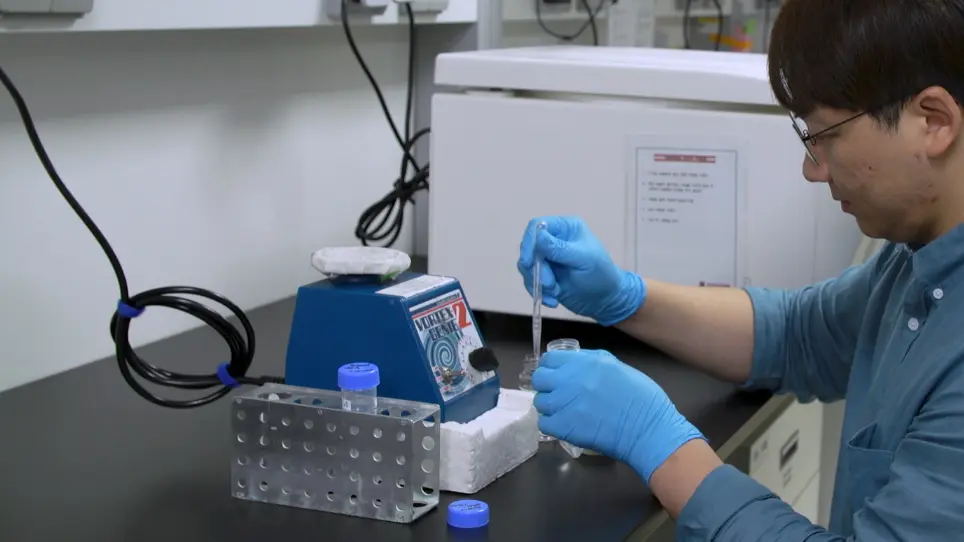 Traction Microscopy Integrated with Microfluidics for Chemotactic Collective Migration