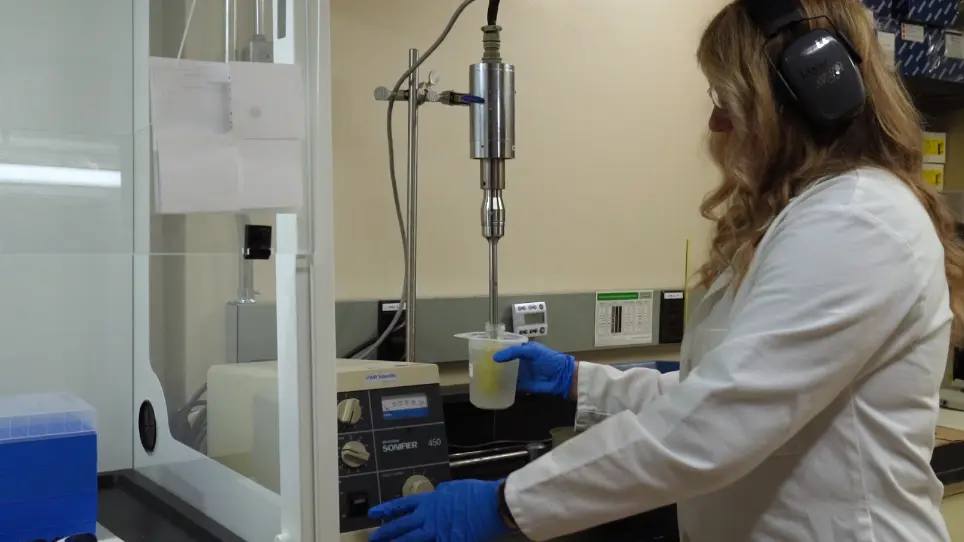 Analysis of Group IV Viral SSHHPS Using In Vitro and In Silico Methods