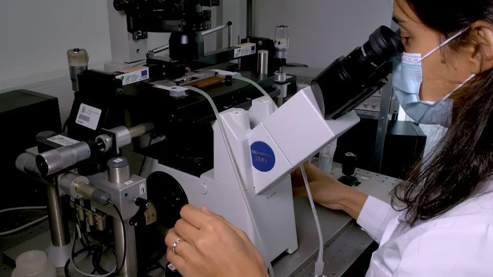 In Vitro Assessment of Cardiac Function Using Skinned Cardiomyocytes