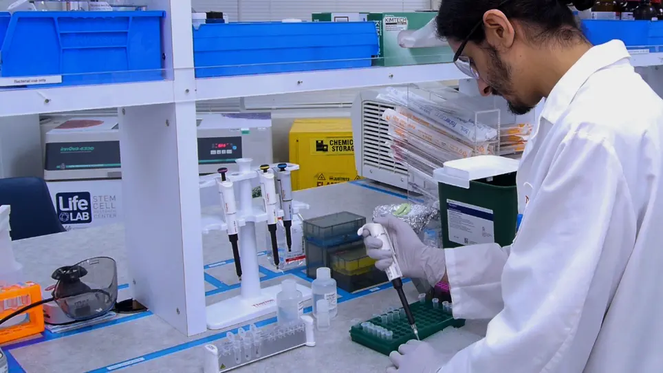 Determination of Immune Cell Identity and Purity Using Epigenetic-Based Quantitative PCR
