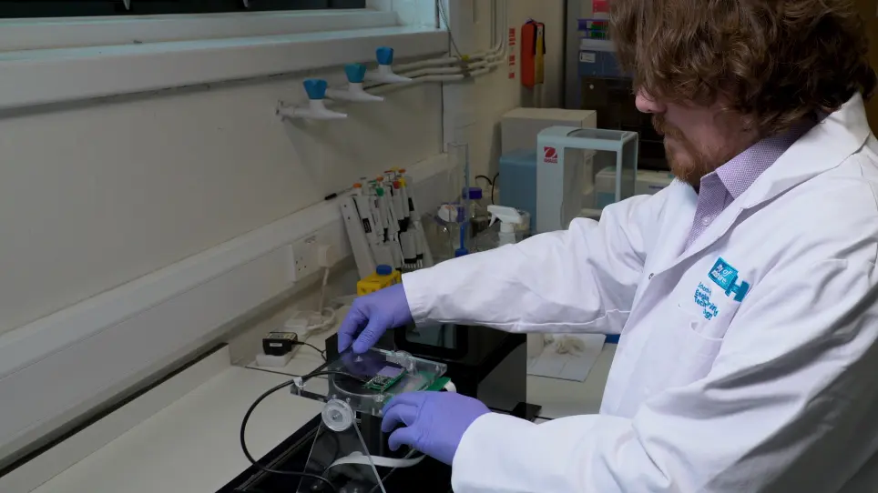 Electrowetting-based Digital Microfluidics Platform for Automated Enzyme-linked Immunosorbent Assay