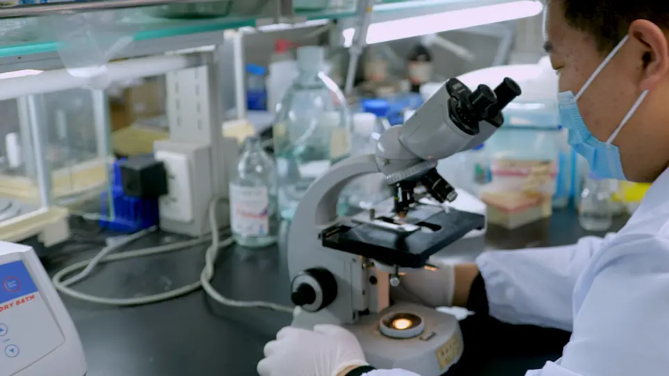 Detecting Migration and Infiltration of Neutrophils in Mice