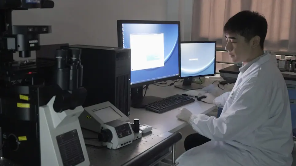 Protocols of 3D Bioprinting of Gelatin Methacryloyl Hydrogel Based Bioinks