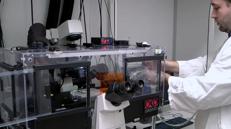 Multi-scale Analysis of Bacterial Growth Under Stress Treatments