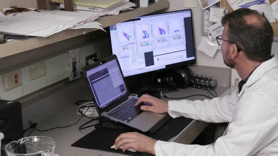 Purification and Analysis of <em>Caenorhabditis elegans</em> Extracellular Vesicles
