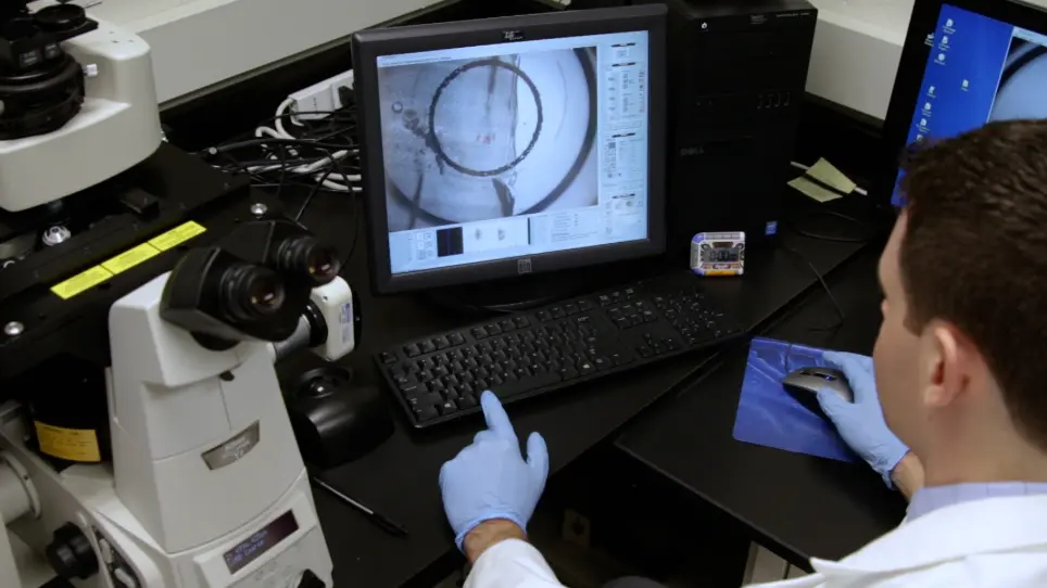 Combining Laser Capture Microdissection and Microfluidic qPCR to Analyze Transcriptional Profiles of Single Cells: A Systems Biology Approach to Opioid Dependence