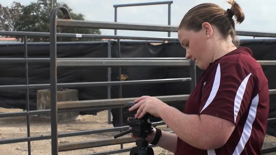 The Use of Traditional Fear Tests to Evaluate Different Emotional Circuits in Cattle