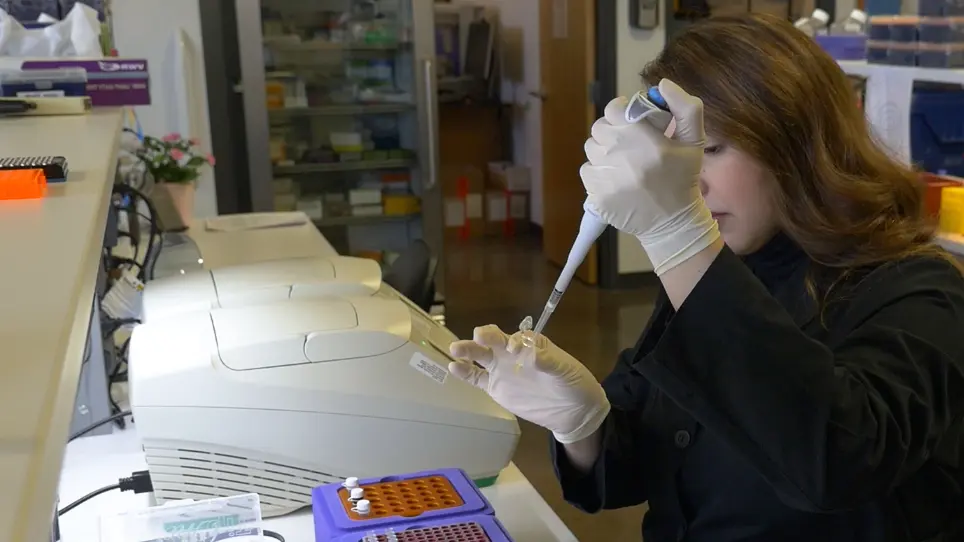 Predictive Immune Modeling of Solid Tumors