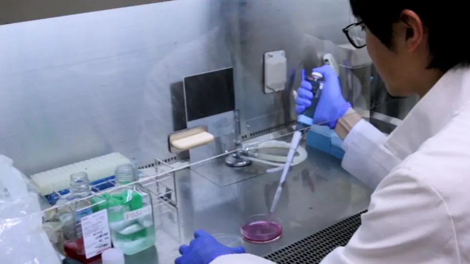 Identifying Inhibitors of the HBx-DDB1 Interaction Using a Split Luciferase Assay System