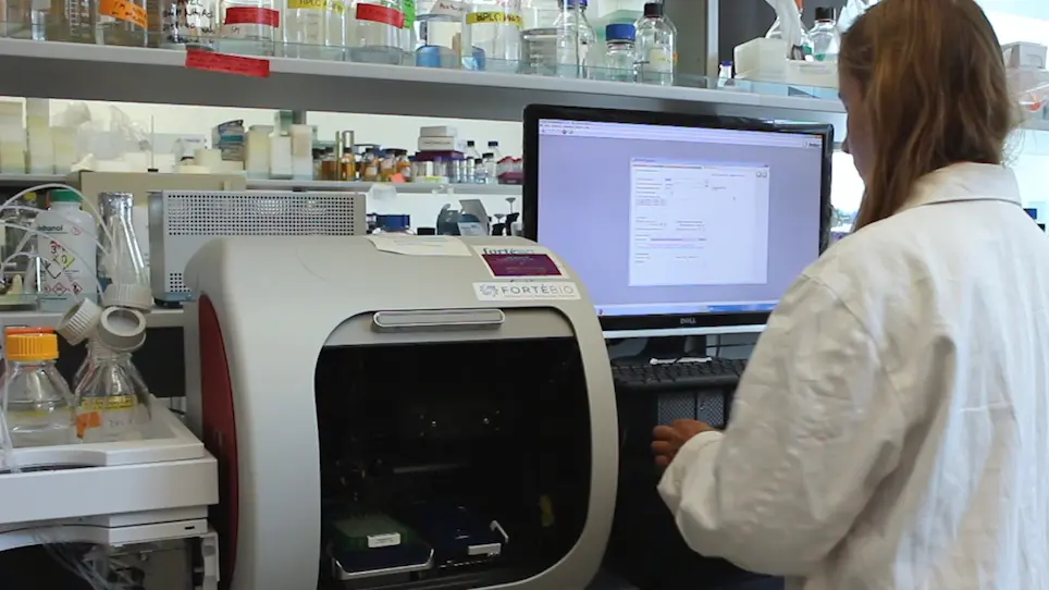 PeptiQuick, a One-Step Incorporation of Membrane Proteins into Biotinylated Peptidiscs for Streamlined Protein Binding Assays