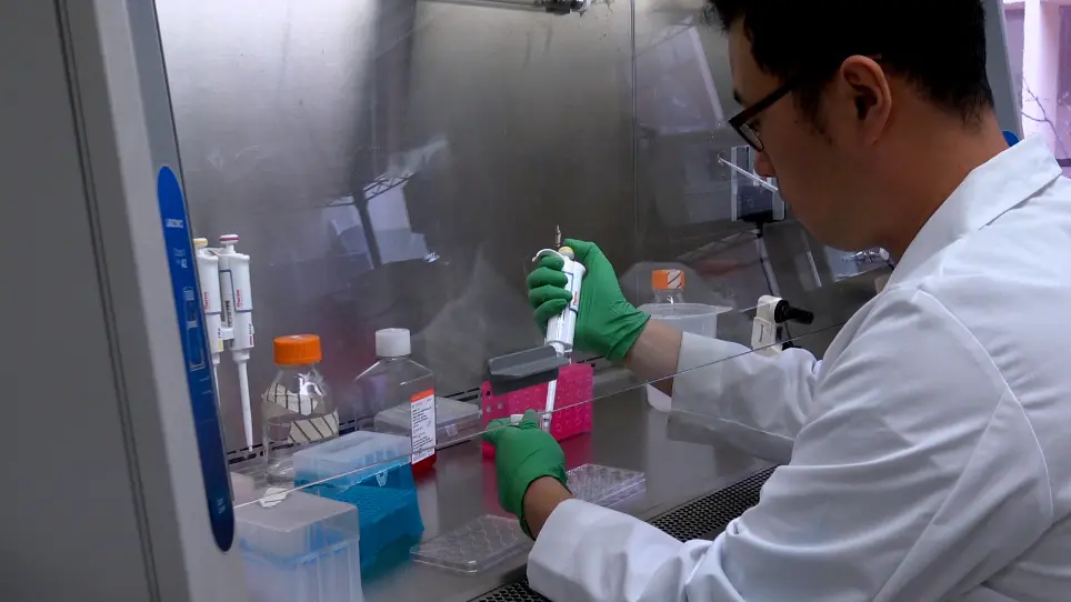 Detection of Total Reactive Oxygen Species in Adherent Cells by 2',7'-Dichlorodihydrofluorescein Diacetate Staining