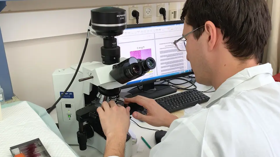 Inducing Acute Liver Injury in Rats via Carbon Tetrachloride (CCl<sub>4</sub>) Exposure Through an Orogastric Tube