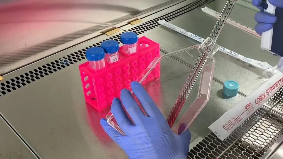 LINE-1 Methylation Analysis in Mesenchymal Stem Cells Treated with Osteosarcoma-Derived Extracellular Vesicles