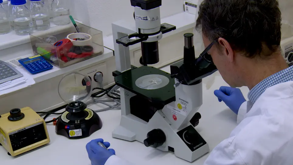 Time-lapse Imaging of Mouse Macrophage Chemotaxis