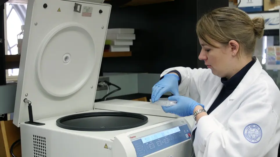 Using an Extracellular Flux Analyzer to Measure Changes in Glycolysis and Oxidative Phosphorylation during Mouse Sperm Capacitation