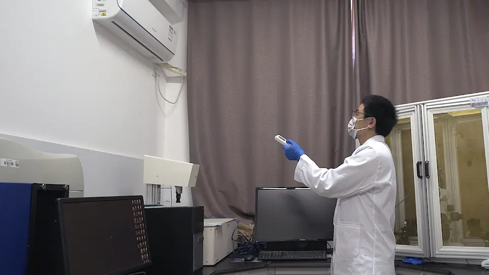 Studying Neurobehavioral Effects of Environmental Pollutants on Zebrafish Larvae