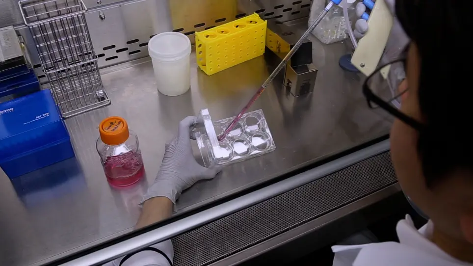 Exon Skipping in Directly Reprogrammed Myotubes Obtained from Human Urine-Derived Cells