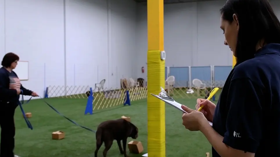 Controlled Odor Mimic Permeation Systems for Olfactory Training and Field Testing