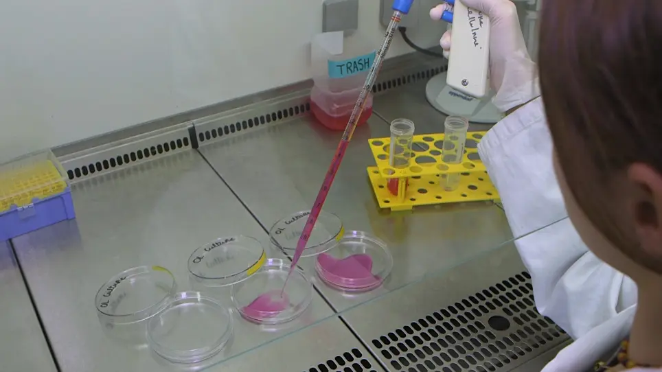 Generation of Oligodendrocytes and Oligodendrocyte-Conditioned Medium for Co-Culture Experiments