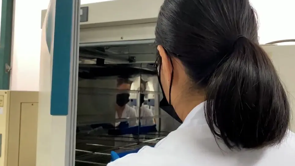 In situ Hybridization for <i>Sipunculus nudus</i> Coelomic Fluid
