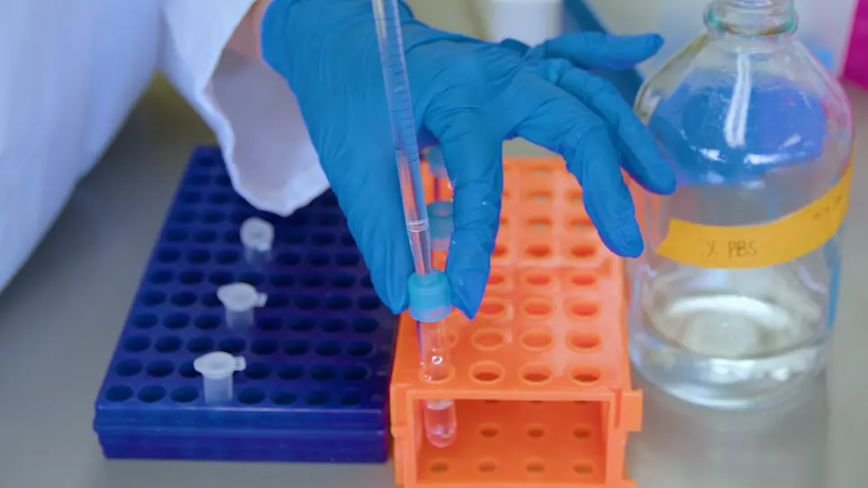 Using Flow Cytometry to Detect and Quantitate Altered Blood Formation in the Developing Zebrafish