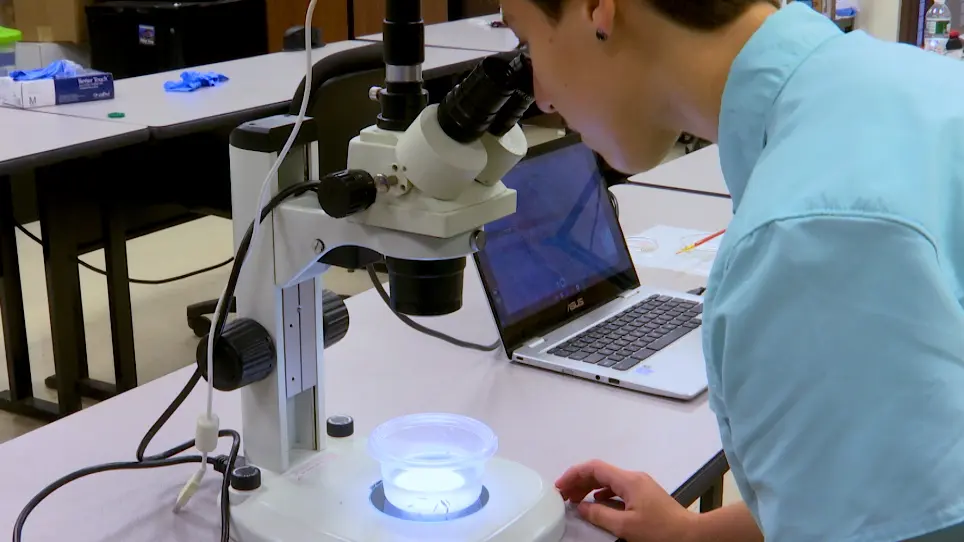 A Planarian Motility Assay to Gauge the Biomodulating Properties of Natural Products