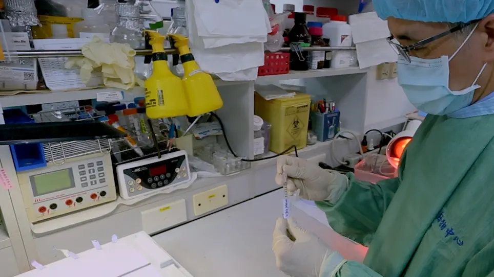 Intratracheal Instillation of Stem Cells in Term Neonatal Rats