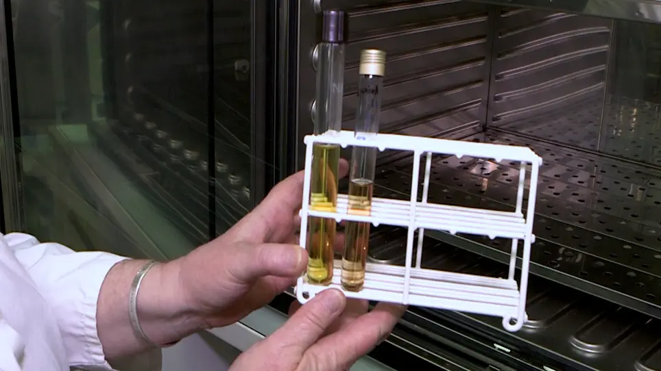 Production of Germ-Free Fast-Growing Broilers from a Commercial Line for Microbiota Studies