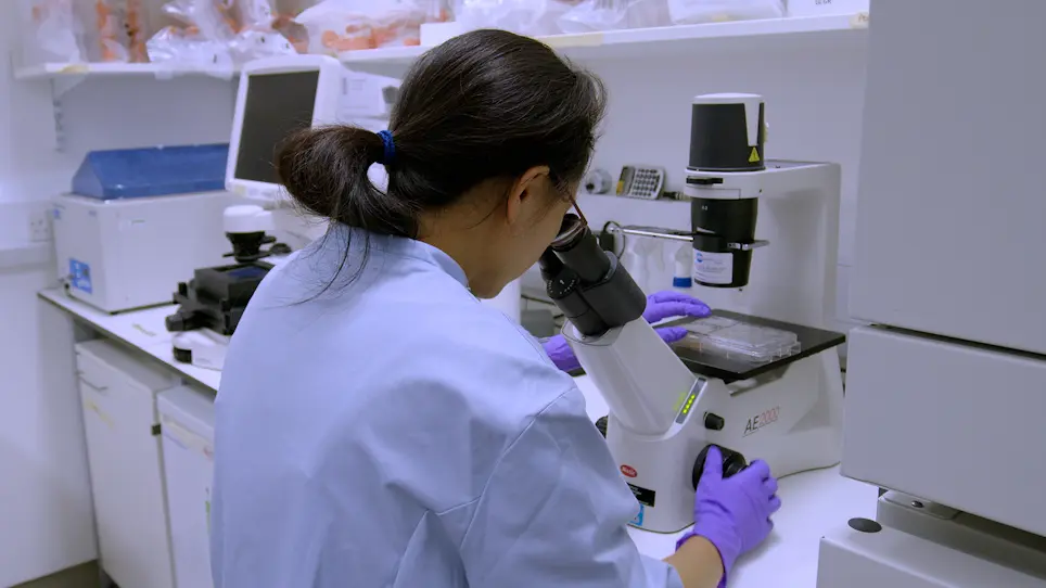Introducing Point Mutations into Human Pluripotent Stem Cells Using Seamless Genome Editing