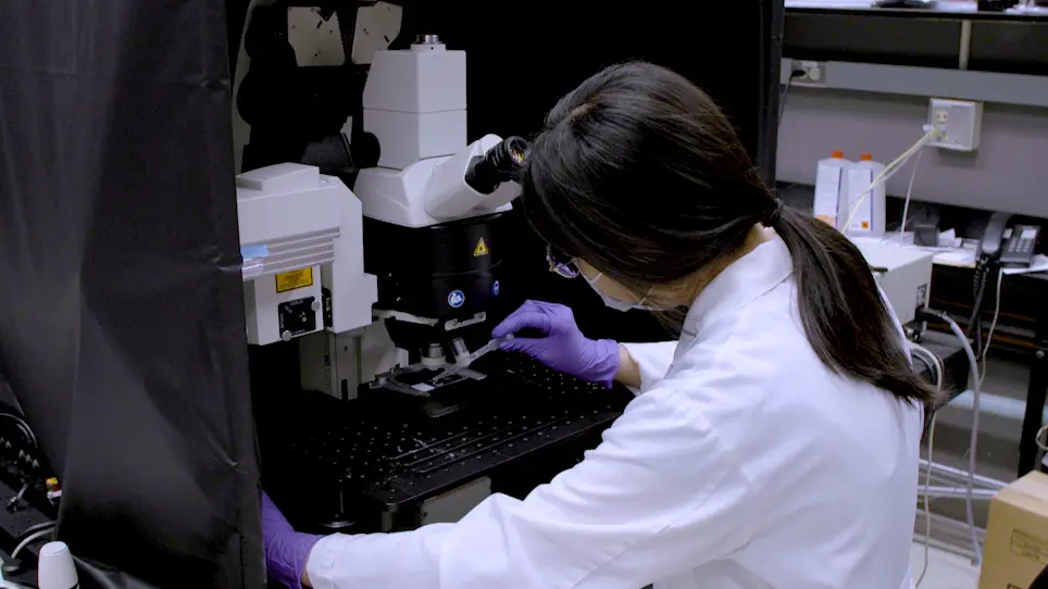 Blocking Lymph Flow by Suturing Afferent Lymphatic Vessels in Mice
