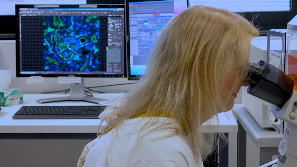 Supervised Machine Learning for Semi-Quantification of Extracellular DNA in Glomerulonephritis
