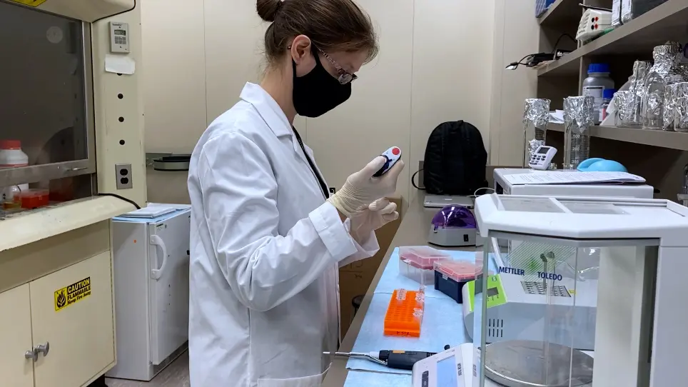 Nonradioactive Assay to Measure Polynucleotide Phosphorylation of Small Nucleotide Substrates