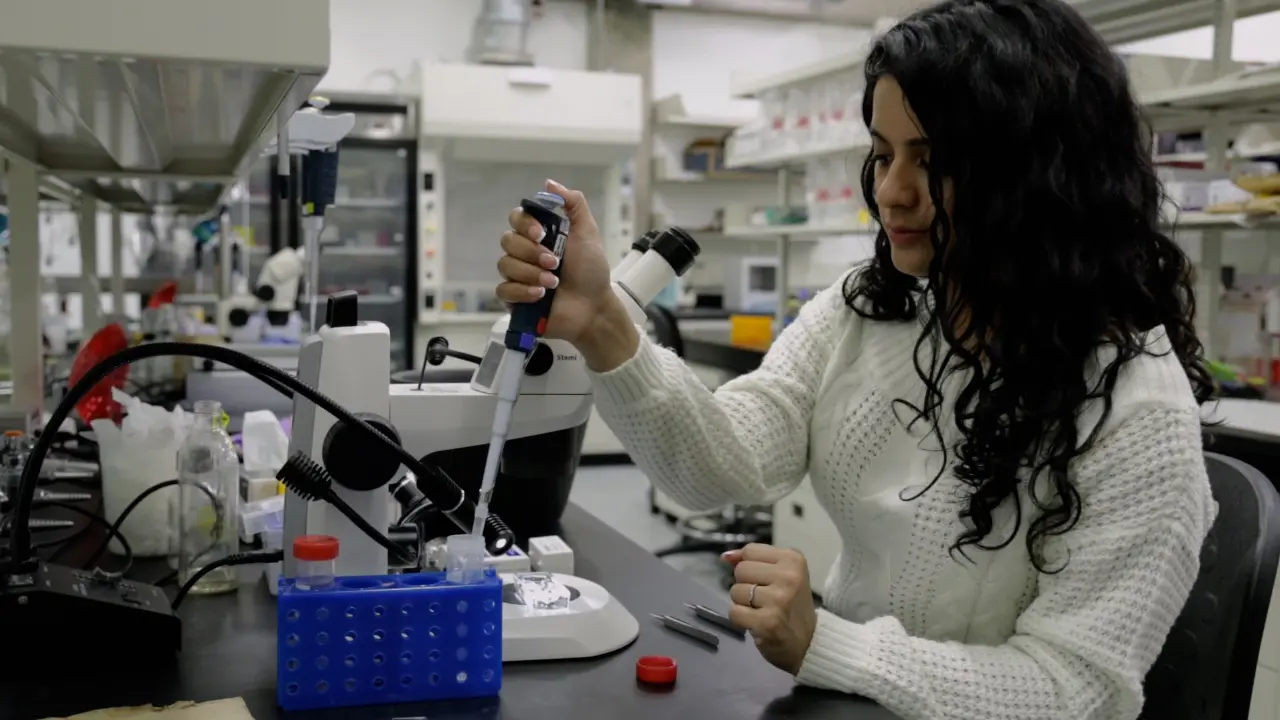 Dissection, Immunohistochemistry and Mounting of Larval and Adult <em>Drosophila</em> Brains for Optic Lobe Visualization