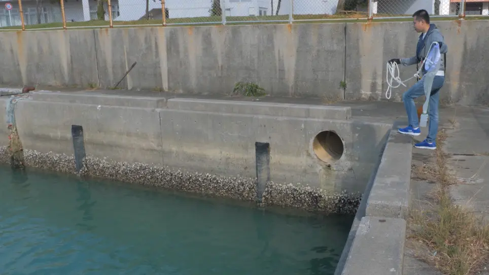 Streamlined Sampling and Cultivation of the Pelagic Cosmopolitan Larvacean, <em>Oikopleura dioica</em>
