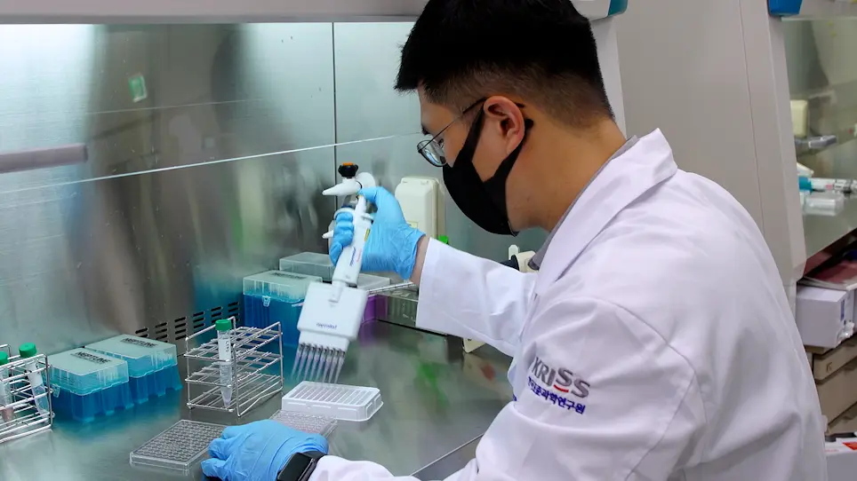 Evaluating Cell Death Using Cell-Free Supernatant of Probiotics in Three-Dimensional Spheroid Cultures of Colorectal Cancer Cells