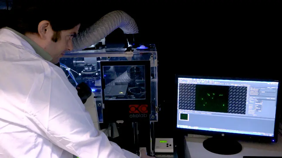 Continuous Measurement of Biological Noise in <em>Escherichia Coli</em> Using Time-lapse Microscopy