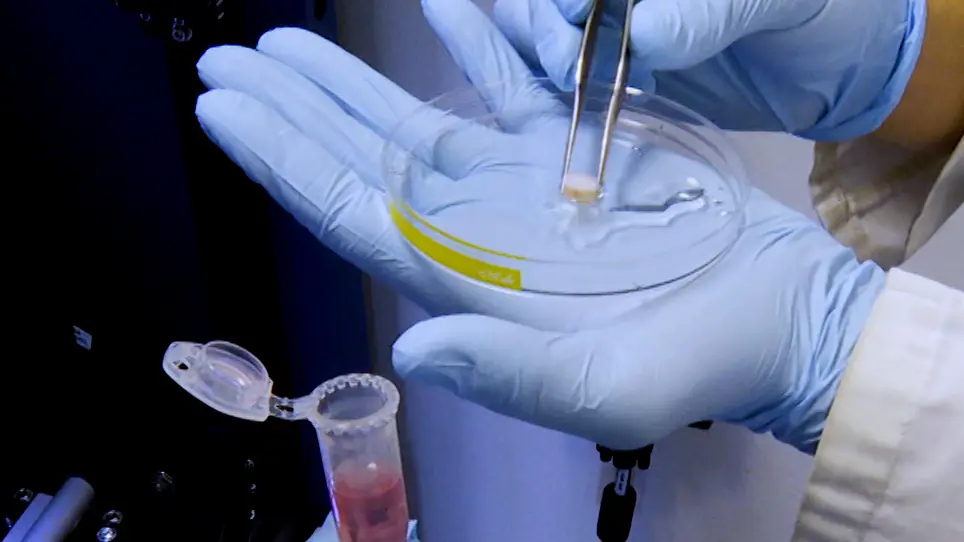 Biotribological Testing and Analysis of Articular Cartilage Sliding against Metal for Implants