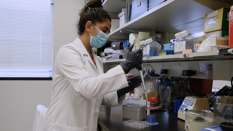 Monitoring Cancer Cell Invasion and T-Cell Cytotoxicity in 3D Culture