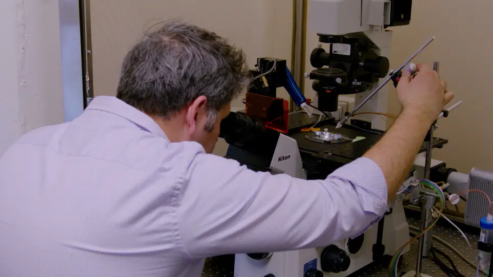 Measuring Nucleotide Binding to Intact, Functional Membrane Proteins in Real Time