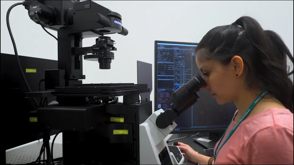 Visualization of DNA Repair Proteins Interaction by Immunofluorescence