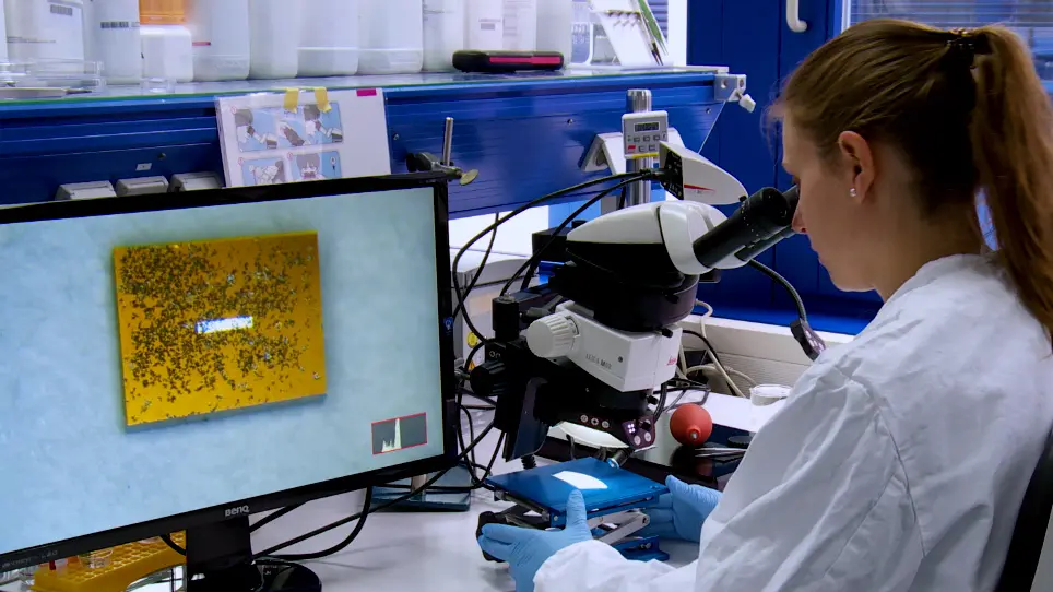 Graphene Enclosure of Chemically Fixed Mammalian Cells for Liquid-Phase Electron Microscopy