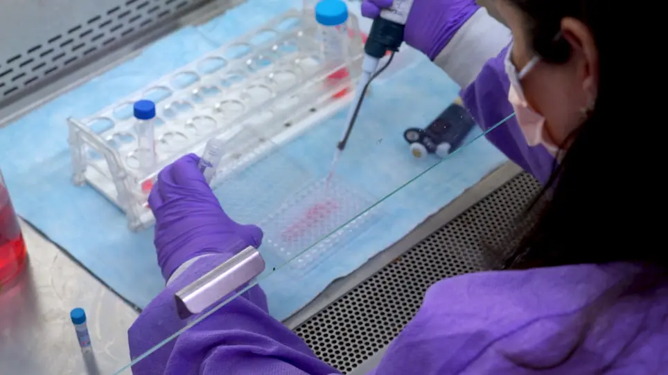 Analysis of Human Natural Killer Cell Metabolism