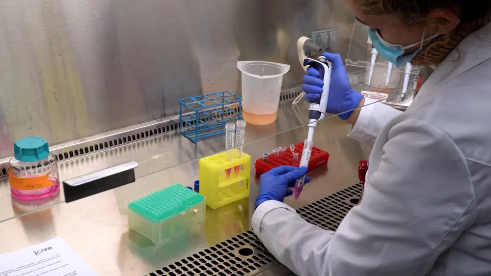 Isolating Human Peripheral Blood Mononuclear Cells and CD4+ T cells from Sézary Syndrome Patients for Transcriptomic Profiling
