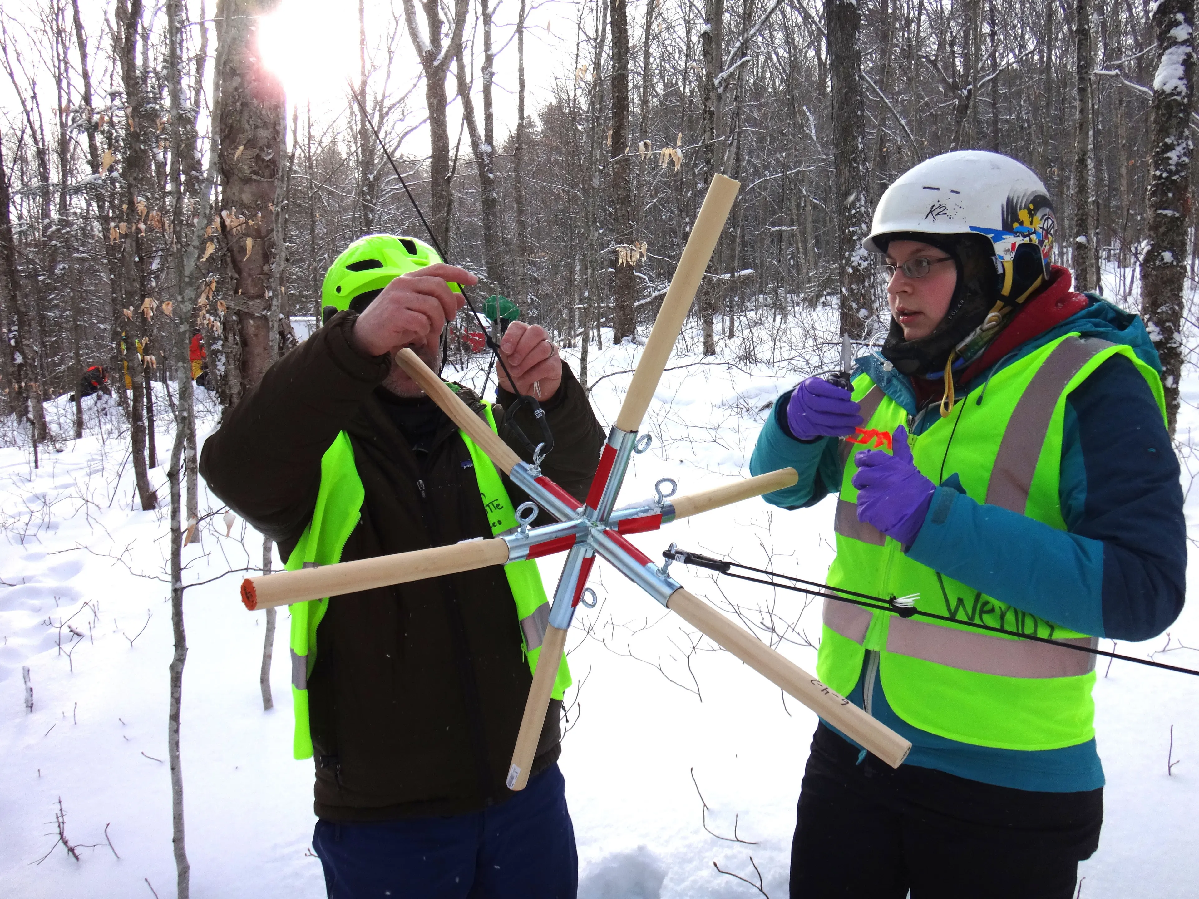Simulating Impacts of Ice Storms on Forest Ecosystems