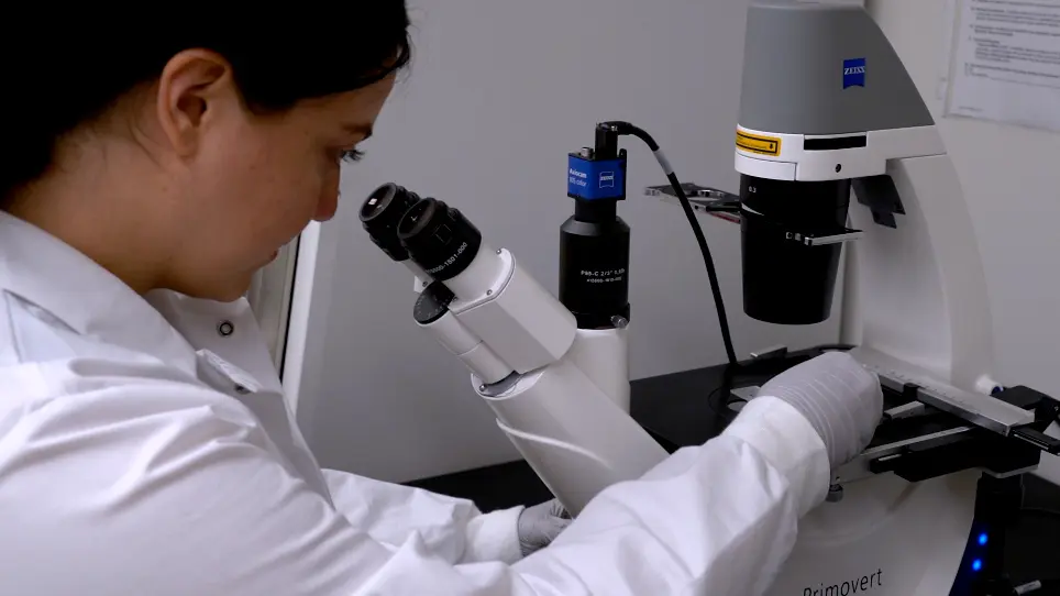 A Patient-Derived Xenograft Model for Venous Malformation