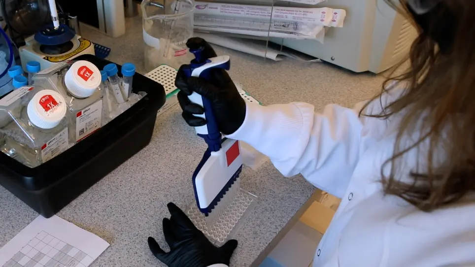Flow Cytometric Characterization of Murine B Cell Development